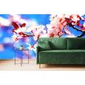 SELF ADHESIVE WALL MURAL CHERRY BLOSSOM - SELF-ADHESIVE WALLPAPERS - WALLPAPERS