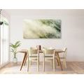 TABLEAU SUR TOILE – FORÊT BRUMEUSE - TABLEAUX DE LA NATURE ET DES PAYSAGES - TABLEAUX