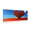 CANVAS PRINT BEAUTIFUL HEART-SHAPED TREE - PICTURES LOVE - PICTURES