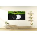 CANVAS PRINT YIN AND YANG SYMBOL - PICTURES FENG SHUI - PICTURES