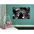 CANVAS PRINT LION'S HEAD IN BLACK AND WHITE - BLACK AND WHITE PICTURES - PICTURES