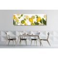 CANVAS PRINT BLEND OF CITRUS FRUITS - PICTURES OF FOOD AND DRINKS - PICTURES