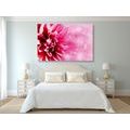 CANVAS PRINT PINK FLOWER - PICTURES FLOWERS - PICTURES