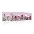 CANVAS PRINT COMPOSITION OF PINK CHRYSANTHEMUMS - PICTURES FLOWERS - PICTURES