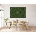 CANVAS PRINT DETAILED DECORATIVE MANDALA IN GREEN COLOR - PICTURES FENG SHUI - PICTURES