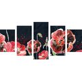 5-PIECE CANVAS PRINT RED POPPIES ON A BLACK BACKGROUND - PICTURES FLOWERS - PICTURES