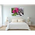 WANDBILD BLÜHENDE ORCHIDEE UND WELLNESS-STEINE - BILDER MIT FENG SHUI-MOTIVEN - BILDER