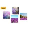 CANVAS PRINT SET BEAUTIFUL LAVENDER FIELDS - SET OF PICTURES - PICTURES