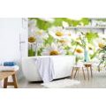 WALL MURAL SPRING MEADOW FULL OF FLOWERS - WALLPAPERS FLOWERS - WALLPAPERS