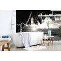 SELF ADHESIVE WALL MURAL BLACK AND WHITE CARIBBEAN BEACH - SELF-ADHESIVE WALLPAPERS - WALLPAPERS