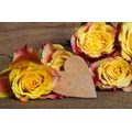 WALL MURAL VALENTINE'S YELLOW ROSES - WALLPAPERS VINTAGE AND RETRO - WALLPAPERS