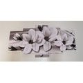 5-PIECE CANVAS PRINT LUXURIOUS MAGNOLIA WITH PEARLS IN BLACK AND WHITE DESIGN - BLACK AND WHITE PICTURES - PICTURES