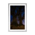 AFFICHE AVEC MONTURE ARBRES DE MONTAGNE DANS UN PAYSAGE NOCTURNE - NATURE - AFFICHES