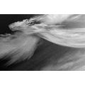 CANVAS PRINT IMAGE OF AN ANGEL IN THE CLOUDS IN BLACK AND WHITE - BLACK AND WHITE PICTURES - PICTURES