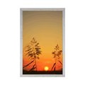 POSTER GRASS BLADES AT SUNSET - NATURE - POSTERS