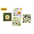 CANVAS PRINT SET MAGICAL FLOWERS - SET OF PICTURES - PICTURES