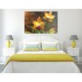 CANVAS PRINT ORANGE ORCHID - PICTURES FLOWERS{% if product.category.pathNames[0] != product.category.name %} - PICTURES{% endif %}