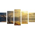 5-PIECE CANVAS PRINT DRIED UP TREE - PICTURES OF NATURE AND LANDSCAPE - PICTURES