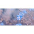 CANVAS PRINT BLUE FLOWERS ON A VINTAGE BACKGROUND - PICTURES FLOWERS - PICTURES