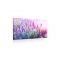 CANVAS PRINT ROMANTIC LAVENDER - PICTURES FLOWERS - PICTURES