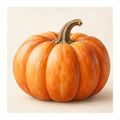 QUADRO SU TELA – ZUCCA AUTUNNALE MATURA - QUADRI HALLOWEEN E HORROR - STAMPE E QUADRI