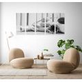 5-PIECE CANVAS PRINT MEDITATION AND WELLNESS STILL LIFE IN BLACK AND WHITE - BLACK AND WHITE PICTURES{% if product.category.pathNames[0] != product.category.name %} - PICTURES{% endif %}