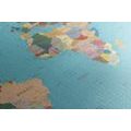 DECORATIVE PINBOARD WORLD MAP WITH NAMES - PICTURES ON CORK - PICTURES