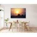 CANVAS PRINT SUNRISE OVER A MEADOW - PICTURES OF NATURE AND LANDSCAPE - PICTURES