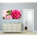 CANVAS PRINT PEONIES IN PINK - PICTURES FLOWERS - PICTURES