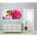 WANDBILD PFINGSTROSEN IN ROSA - BILDER BLUMEN - BILDER