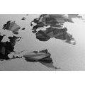 CANVAS PRINT WORLD MAP IN VECTOR GRAPHIC DESIGN IN BLACK AND WHITE - PICTURES OF MAPS - PICTURES