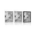 POSTER MAGICAL DANDELION IN BLACK AND WHITE - BLACK AND WHITE - POSTERS