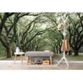 SAMOLEPÍCÍ FOTOTAPETA V OBJETÍ STROMŮ - TAPETY - TOTÁLNÍ VÝPRODEJ 🔥