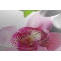 CANVAS PRINT HARMONIOUS ZEN STILL LIFE - PICTURES FENG SHUI{% if product.category.pathNames[0] != product.category.name %} - PICTURES{% endif %}