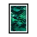 AFFICHE AVEC MONTURE DE FEUILLES TROPICALES FRAÎCHES - NATURE - AFFICHES