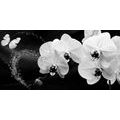 CANVAS PRINT ORCHID AND A BUTTERFLY ON AN ABSTRACT BACKGROUND - BLACK AND WHITE PICTURES{% if product.category.pathNames[0] != product.category.name %} - PICTURES{% endif %}