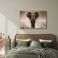 OBRAZ MAJESTÁTNÍ SLON V SAVANĚ - OBRAZY SLONI - OBRAZY