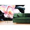 FOTOTAPETE EXOTISCHE ORCHIDEE - TAPETEN MIT FENG SHUI-MOTIVEN - TAPETEN