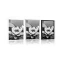 POSTER LOTUS FLOWER IN THE LAKE IN BLACK AND WHITE - BLACK AND WHITE - POSTERS