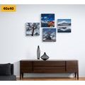 CANVAS PRINT SET MAGIC OF NATURE - SET OF PICTURES - PICTURES