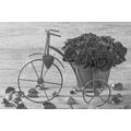 CANVAS PRINT BIKE FULL OF ROSES IN BLACK AND WHITE - BLACK AND WHITE PICTURES - PICTURES