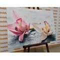 CANVAS PRINT TWO COLORFUL ORCHID FLOWERS - PICTURES FLOWERS - PICTURES