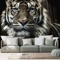 FOTOTAPETE TIGER - TAPETEN - 🔥 TOTALAUSVERKAUF 🔥