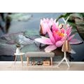 SELF ADHESIVE WALL MURAL PINK LOTUS FLOWER - SELF-ADHESIVE WALLPAPERS - WALLPAPERS