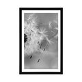 POSTER WITH MOUNT MAGICAL DANDELION IN BLACK AND WHITE - BLACK AND WHITE - POSTERS