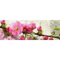 SELF ADHESIVE PHOTO WALLPAPER FOR KITCHEN JAPANESE SAKURA - WALLPAPERS{% if product.category.pathNames[0] != product.category.name %} - WALLPAPERS{% endif %}