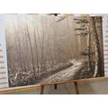 CANVAS PRINT SEPIA PATH TO THE FOREST - PICTURES OF NATURE AND LANDSCAPE - PICTURES