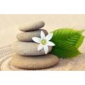 WANDBILD WEISSE BLUME UND STEINE IM SAND - BILDER MIT FENG SHUI-MOTIVEN - BILDER