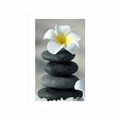 POSTER WITH MOUNT HARMONIC STONES AND A PLUMERIA FLOWER - FENG SHUI - POSTERS