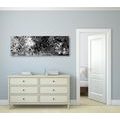 CANVAS PRINT BLACK AND WHITE ABSTRACT ART - BLACK AND WHITE PICTURES - PICTURES